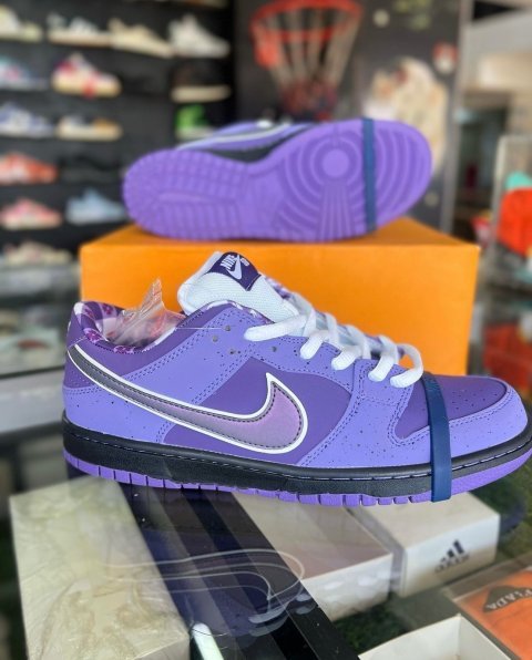 Low-Top Skate-Inspired Sneakers in Purple Lobster Colorway