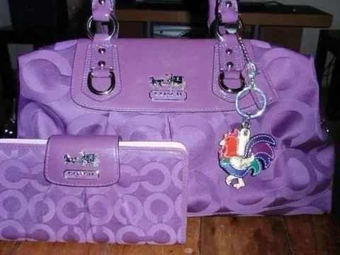 Purple Canvas Patent Leather Shoulder Bag